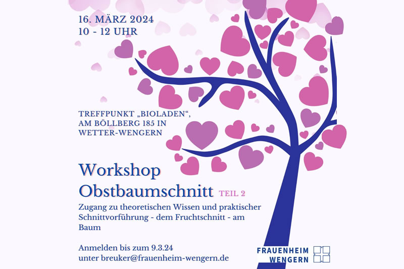 Workshop Obstbaumschnitt (Februar 2024)